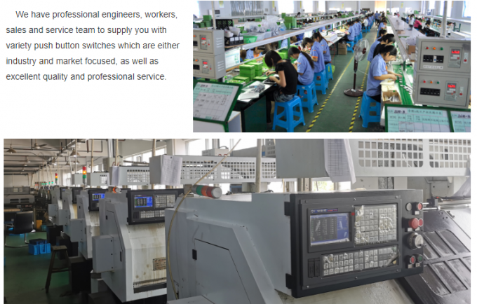 Yueqing Yueshun Electric Co., Ltd. Fabrika turu